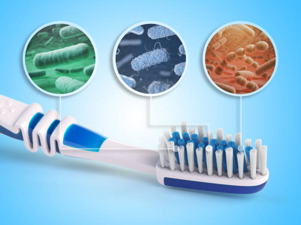 Health Risks Associated with Toothbrush Contamination